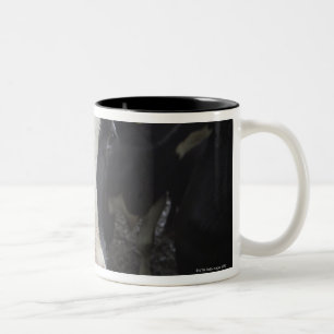 Kühe Zweifarbige Tasse
