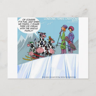 Kuhfamilie Schneeskifahren Lustig Postkarte