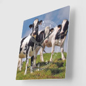 Kuhfamilienportrait Quadratische Wanduhr (Winkel)