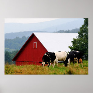 Kuhfarm Landschaftsdruck Poster