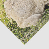 Kuhfarm Rustikale Landentfernung Seidenpapier (Ausschnitt)