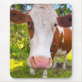 Kuhfarm tierisches Foto Mousepad