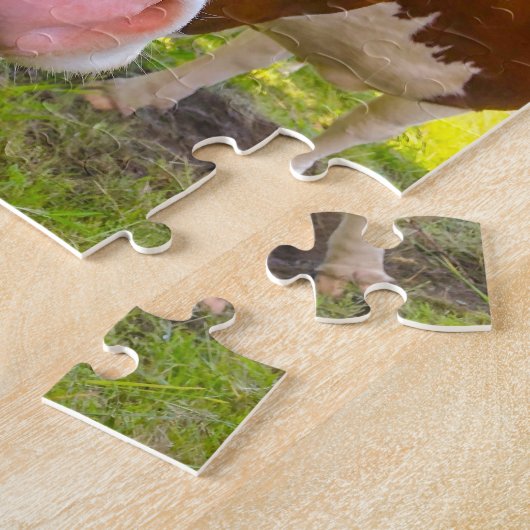 Kuhfarm tierisches Foto Puzzle (Seite)