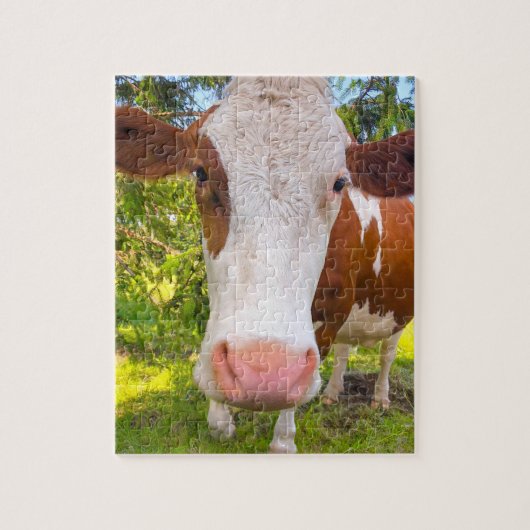 Kuhfarm tierisches Foto Puzzle (Vertikal)