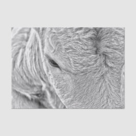 Kuhfarm Vintag Schwarz-Weiß Land Rustikal Seidenpapier