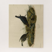 Kuhfedervogel (Cowbird) Audubons Vögel in Amerika Puzzle (Vertikal)