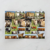 Kuhfoto Collage, Geburtstag Karte (Innenseite)