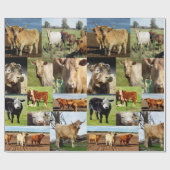 Kuhfoto-Collage, Geschenkpapier (Flach)