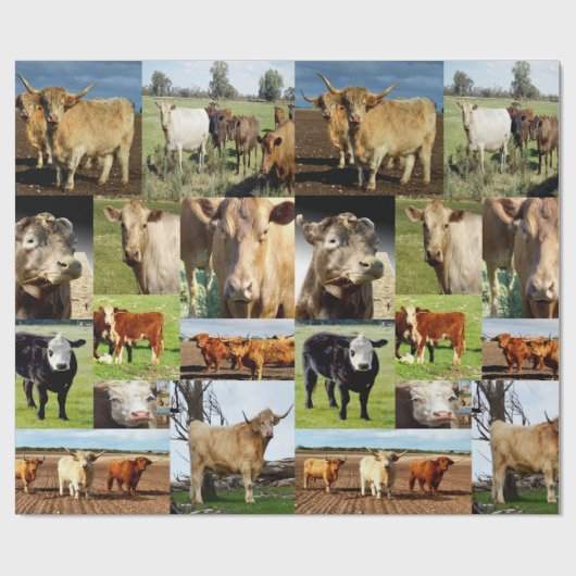 Kuhfoto-Collage, Geschenkpapier (Flach)