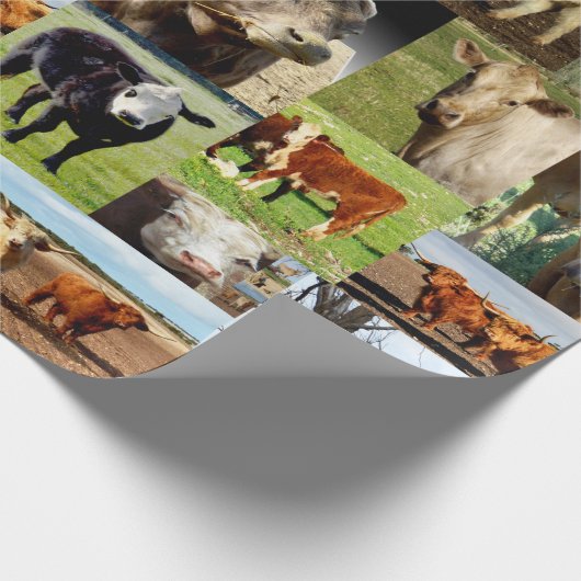 Kuhfoto-Collage, Geschenkpapier (Ecke)