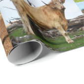 Kuhfoto-Collage, Geschenkpapier (Rolleneckpunkt)