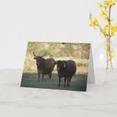 Kuhhörner - gut werden karte (Gelbe Blume)