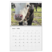 Kuhkalender 2024 kalender (Mär 2026)