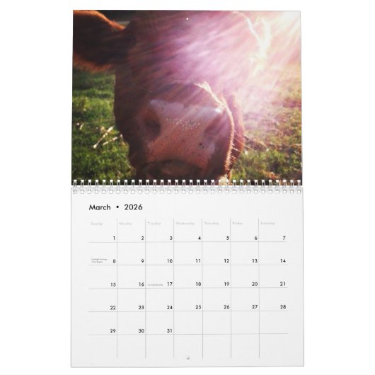 Kuhkalender Kalender (Mär 2026)