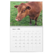 Kuhkalender Kalender (Mär 2026)