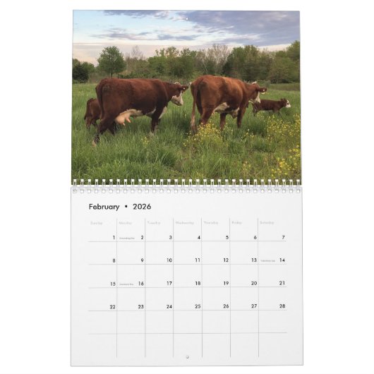 Kuhkalender Kalender (Feb 2026)