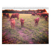 Kuhkalender Kalender (Titelbild)