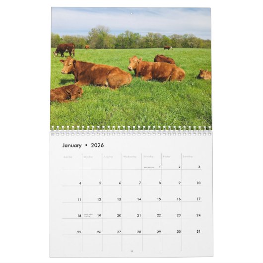 Kuhkalender Kalender (Jan 2026)