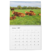 Kuhkalender Kalender (Jan 2027)