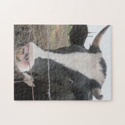 Kuhkopf Puzzle (Horizontal)