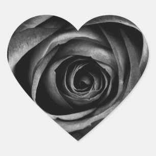 Kühle schwarze und graue Goth-Rose Blüte Dunkle Bl Herz-Aufkleber