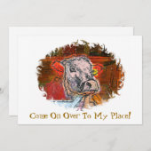 KÜHLEINLADUNG (Vorne/Hinten)