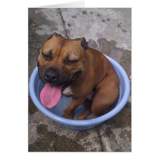 Kühlen Sie sich an einem heißen Tag ab!