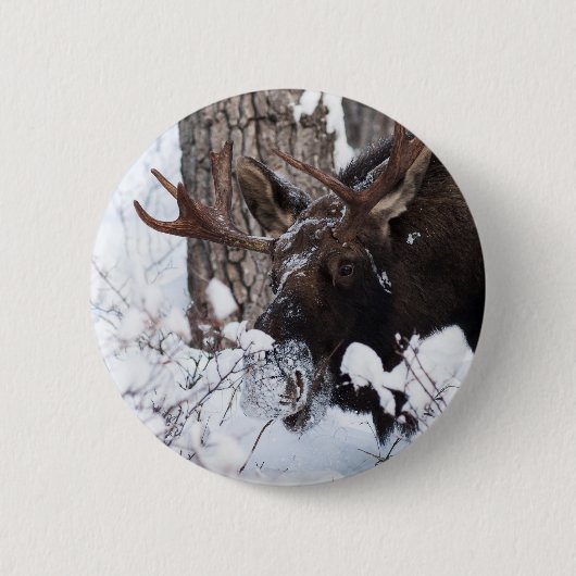 Kühler Elch Button (Vorderseite)