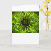 Kühler, Karte (Gelbe Blume)