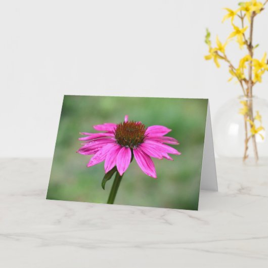 Kühler, Karte (Gelbe Blume)