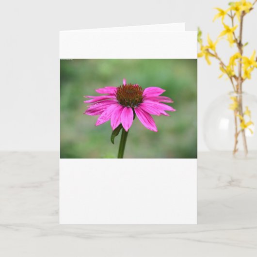 Kühler, Karte (Gelbe Blume)