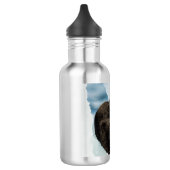 Kühler Seeotter Edelstahlflasche (Links)