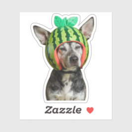 Kühlhund mit Watermelon Helmet Aufkleber