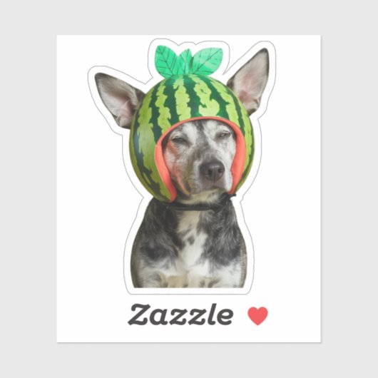 Kühlhund mit Watermelon Helmet Aufkleber (Blatt)