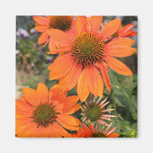 Kühlmagnet Magnet (Vorne)