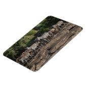 Kühlschrank-Bildvorlage 4 x 6 Magnet (Linke Seite)