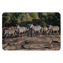 Kühlschrank-Bildvorlage 4 x 6 Magnet