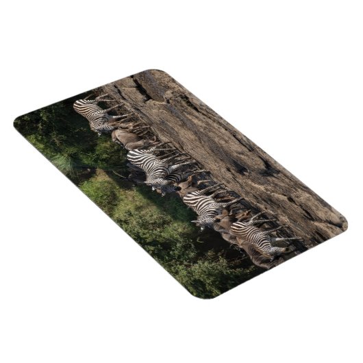 Kühlschrank-Bildvorlage 4 x 6 Magnet (Rechte Seite)