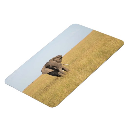 Kühlschrank-Bildvorlage 4 x 6 Magnet (Linke Seite)