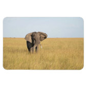 Kühlschrank-Bildvorlage 4 x 6 Magnet (Horizontal)