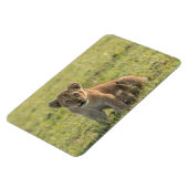 Kühlschrank-Bildvorlage 4 x 6 Magnet (Linke Seite)