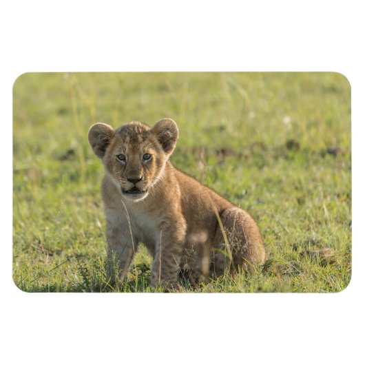 Kühlschrank-Bildvorlage 4 x 6 Magnet (Horizontal)