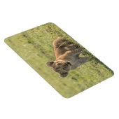 Kühlschrank-Bildvorlage 4 x 6 Magnet (Rechte Seite)