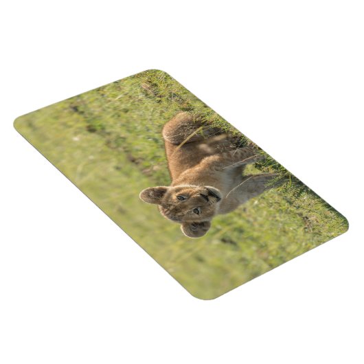 Kühlschrank-Bildvorlage 4 x 6 Magnet (Rechte Seite)