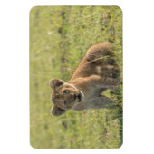 Kühlschrank-Bildvorlage 4 x 6 Magnet (Vertikal)