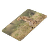 Kühlschrank-Bildvorlage 4 x 6 Magnet (Linke Seite)