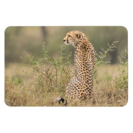 Kühlschrank-Bildvorlage 4 x 6 Magnet