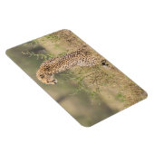 Kühlschrank-Bildvorlage 4 x 6 Magnet (Rechte Seite)