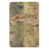 Kühlschrank-Bildvorlage 4 x 6 Magnet (Vertikal)