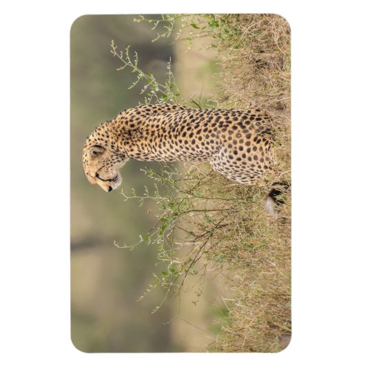 Kühlschrank-Bildvorlage 4 x 6 Magnet (Vertikal)